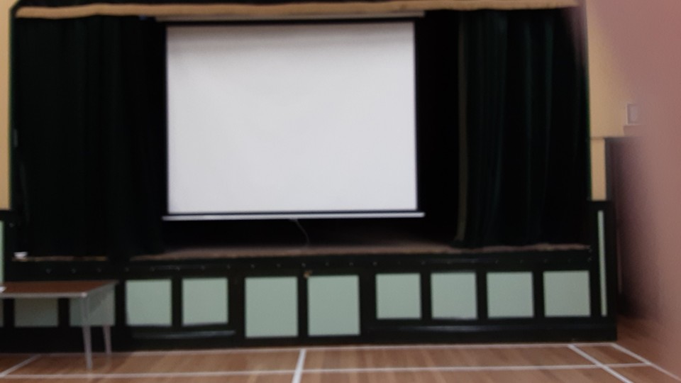 Stage with drop down screen