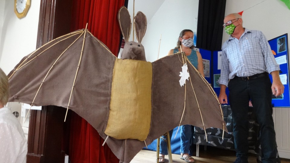 Wildlife Bat!