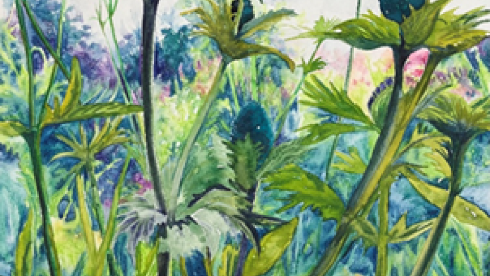 Art at Stocksfield Community Centre